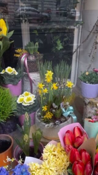 Jaro v našem ateliéru - Přijďte si vybrat květ do vázy či jarní květinu v květináči. Osazujeme také truhlíky, designové mísy a skla. Tvoříme jarní věnce na dveře.

Ateliér je momentálně v záplavě pokojových rostlin. Určitě byste nějakou potřebovali😉

Také jsme doplnili čokolády @cokoladovnajanek a lízátka @sumavskasklenenka 
Velký výběr máme v náušnicích dle vašeho outfitu @flowerski_nausnice 

A na mýdla @almarasoap máme 20% slevu do vyprodání zásob. Toho musíte využít👌

V pátek je MDŽ. To je ideální příležitost nás navštívit.

Všechny objednávky, dotazy a informace řešíme na naší ateliérové lince 790 586 531.

#spring #springdecor #springhome #springflowers #interiorplants #interiordesign #atelier #plantdesign #vysehradska #pragueflowers #handmade #tvoreni #flowersgohome #lovejob #kvetinovainspirace #denzen #mdz #kytice #puget #jarnikornoutek #kvetiny #objednavky